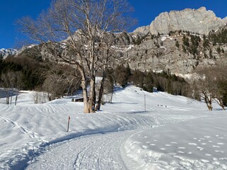 Winter snow idyll along the rural alpine road above the Lake Walen or Lake Walenstadt (Walensee) and in the Swiss Alps, Walenstadtberg - Canton of St. Gallen, Switzerland (Schweiz)