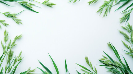 Naklejka premium fresh spring green grass