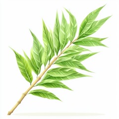 Fototapeta premium Vibrant Green Leaves on a Stalk Isolated on White Background Perfect for Natural Themes and Freshness Concepts in Design Projects