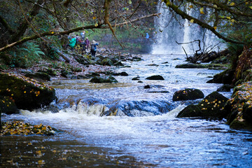 The tranquil valley, dotted with towering trees, was a serene escape from the world outside