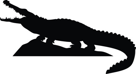 silhouette of a crocodile