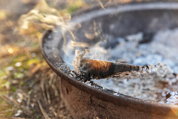 Bunch of dry twigs in pot on ground