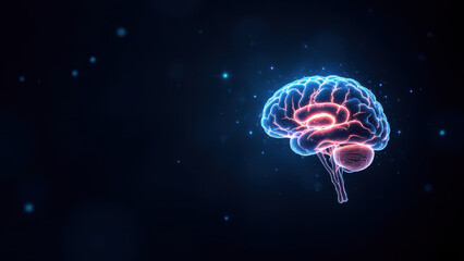A graphical representation of a human brain with an illuminated neural network symbolizing advanced cognitive functions often associated with artificial general intelligence (AGI) and AI development.