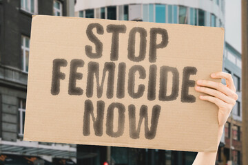 The phrase 'Stop femicide now' is on a banner held by a person, Ending violence against women and girls. Advocacy. Justice. Equality. Safety. Empowerment. Awareness. Protection