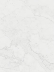 Fototapeta premium Smooth and elegant white marble texture with delicate veining, veining, surface