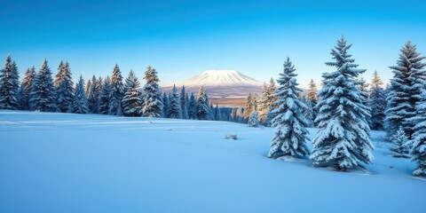 Fototapeta premium Snow-covered landscape with trees and a distant mountain under a clear blue sky, tree