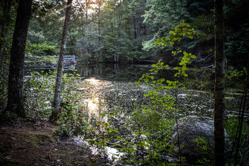 New England Fall Scenes From Hiking Trails in Massachusetts 