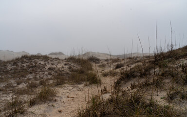 Outer Banks Misty Morning