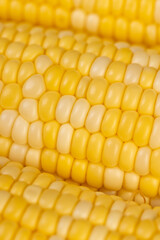peeled corn cob with yellow and white seeds of different sizes and shades