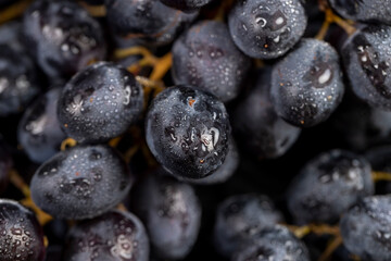 fresh grapes are lying on black paper