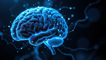 Fototapeta premium A digital artwork of a human brain with highlighted neurocircuitry symbolizing artificial general intelligence or AI advancement.