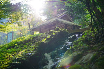 岐阜県八百津町の五宝滝公園　朝日が差し込みゴーストが写りレトロな雰囲気