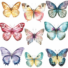 A collection of variously colored butterflies resting on a white background
