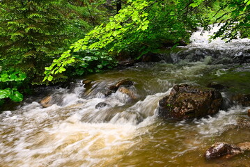 potok w Dolinie Strążyńskiej