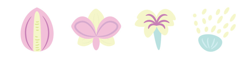 a set of decorative flowers