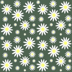 Chamomile seamless pattern flowers design