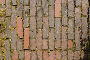 Red brick paved path. Surface texture image