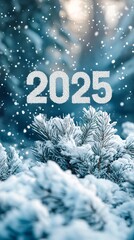 2025  text