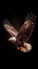 Obraz premium A bald eagle soaring over an American flag, against a dark background