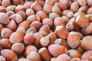 A close-up shot of freshly picked hazelnuts