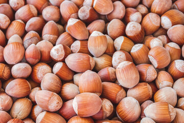 A close-up shot of freshly picked hazelnuts