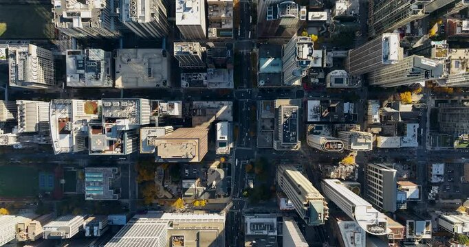 Aerial overhead view of big modern city with skyscrapers and streets, fall season, urban grid with cars