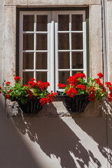 Fototapeta premium A window adorned with colorful flowers, adding a touch of beauty to the historic architecture of Coimbra