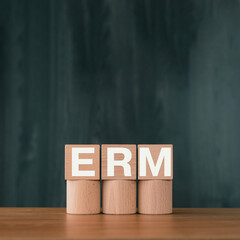 There is wood cube with the word ERM. It is an abbreviation for Enterprise Risk Management as...