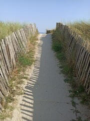 Obraz premium Fenced path through the sand dune, leading to the beach, in sunlight in larmor plage, brittany, france