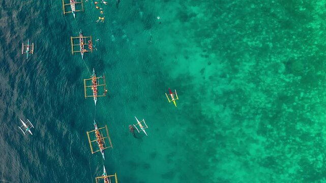 Aerial drone view fishermen feeding krill to giant whale sharks Rhincodon typus from boats in sea. Philippines, Oslob. These sharks have no teeth and are filter feeders. High quality 4k footage