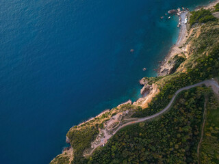 Fototapeta premium Blue sea and green coast top view, background wallpaper - aerial photo drone