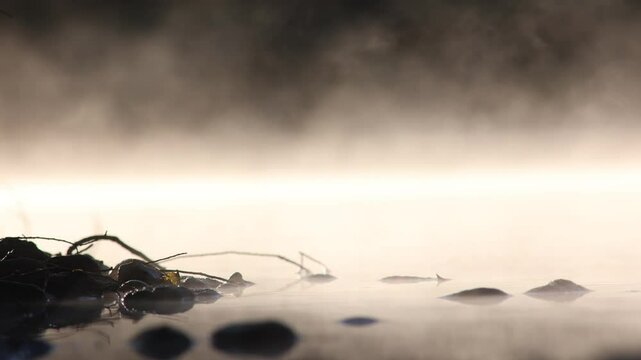 fog and light mist on the surface of the river adda