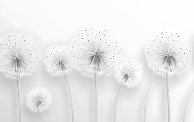 Elegant grayscale dandelion seed heads on a white background