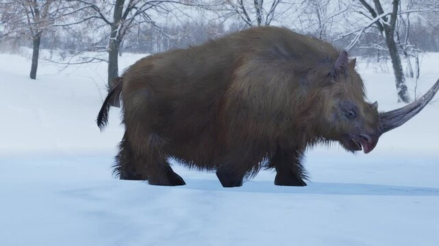 A 3D animation the extinct giant Woolly Rhino of the Ice Age walking through a snowy forest.