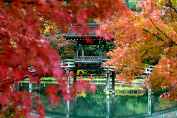紅葉の庭園