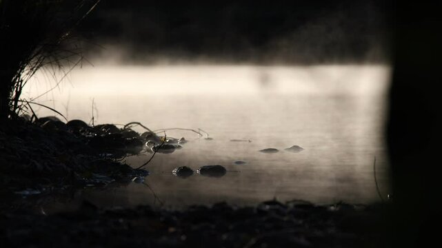 fog and light mist on the surface of the river adda