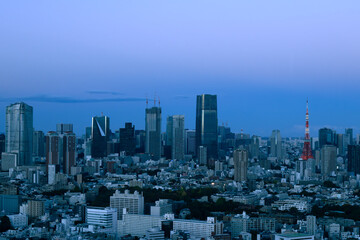 Obraz premium 東京の夕暮れ時を展望台から眺める