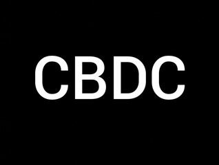 Designation of the virtual digital currency of the central bank