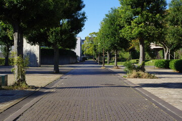 歩道と樹木の風景写真