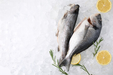 Sea food. Different types of raw fish, lemons and rosemary on ice cubes, flat lay. Space for text