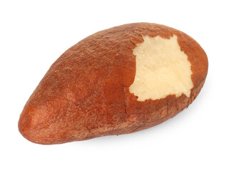 One tasty Brazil nut isolated on white