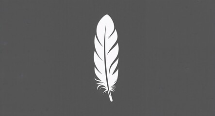 Feather on Gray background design