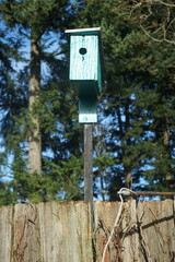 birdhouse 