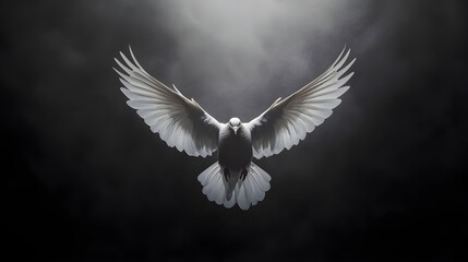 Obraz premium White Dove Soaring on Shiny Background.