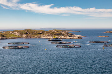 Salmon Fishing Farms Aquaculture Along the Norway Coast Near Lauvøya Island, Midsummer