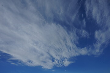 clouds in the sky