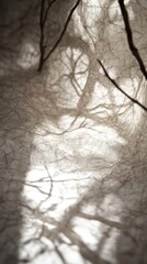 A play of light and shadow creating intricate patterns on a textured surface.