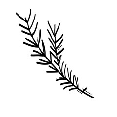 Simple Christmas pine branch