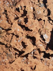Cracked desert dirt