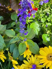 Fototapete bei efototapeten.de bestellen   